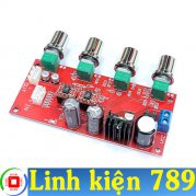 Mạch chỉnh âm sắc 12V đơn V5 nguồn vào 5-24VDC